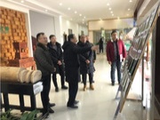 市工商联到十大生态板品牌壮象调研