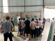 授之以渔，共同成长——鹏森缘板材总经理到访家具厂实地讲解产品优势