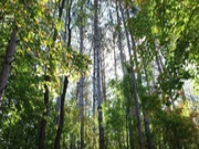 兔宝宝健康家具板，让家居装修更安心