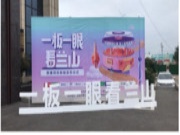 “一板一眼看兰山”百人直播盛典活动走进平安树板材