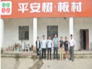 平安树板材新媒体中国行之走进徐州