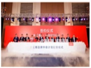选择大王椰板材的10大理由