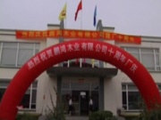 鹏鸿板材简史之二 | 承前启后的“防火板”
