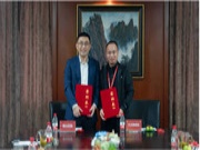 携手并进丨大王椰与泰山石膏签约战略合作