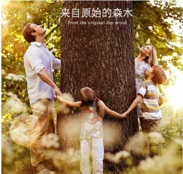 板材网