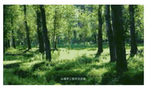 板材网