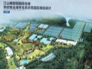 千年舟绿色工程行丨阻燃OSB板检测「江山站」进行时