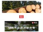 以愿景之志，破浪前行——探寻鹏鸿背后的“与众不同”