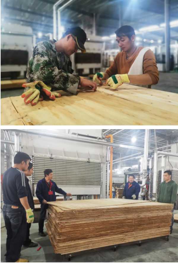 板材网
