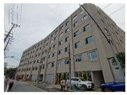 绿色工程行丨阻燃OSB板检测「上海站」进行时