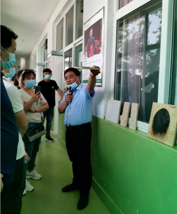 板材网