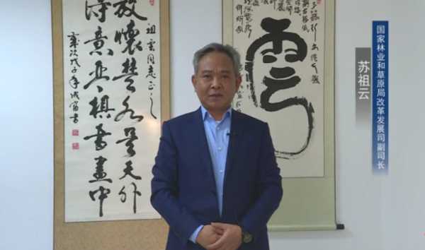 板材网