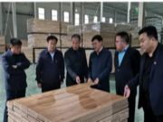 宋刚会长受邀到平邑县卞桥镇高端木业家居产业园考察指导