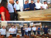 桑墟镇喜获“中国实木厚芯地板基材生产基地”