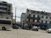 “一刀切”风暴席卷木材集散（张家港）