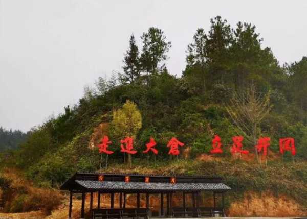 板材网