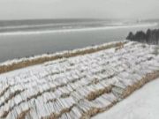 全国多地寒潮来临，最长接单时间不足两周