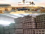 一带一路木材班列如火如荼，将改变中国木材市场格局！
