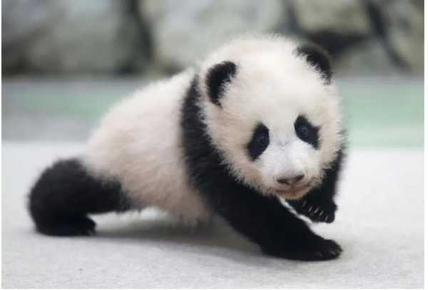 板材网