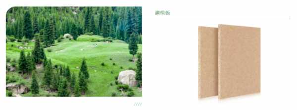 板材网