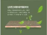 带你解锁亲近、自然、和谐的“木文化”