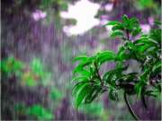 梅雨季，木地板如何养护