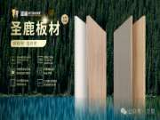 优秀经销商专访 | 深耕板材市场，携手圣鹿共同发展