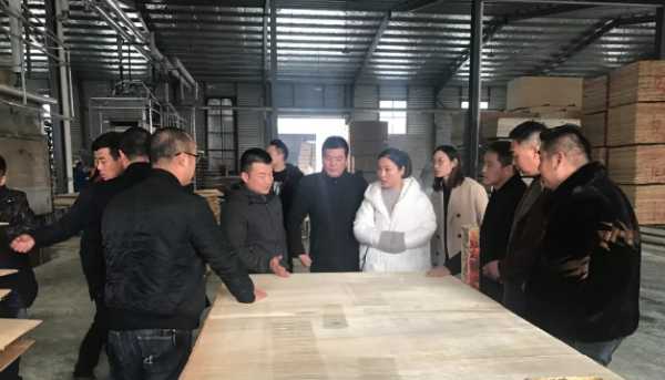 板材网