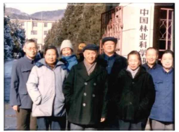 板材网
