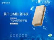 新品上市｜莫干山MDI海洋板：防潮新巅峰，下100天雨都不怕！