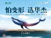 华杰立芯板：“芯”工艺，防变形，更有型