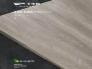 千年舟板材新品来袭丨「丛林之木」系列·木中绅士