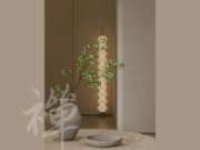 沪强集团家具板  清雅银杏 | 极简禅居 窥见无界