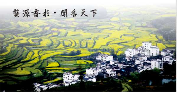 板材网