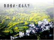国庆黄金周家装必备：金利源ENF级香杉实木生态板