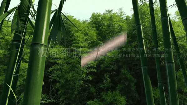 板材网