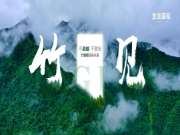 【竹见】 ｜龙涟竹香板发布会金句集锦来了，值得细品！