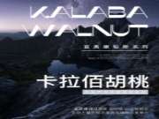铂斯系列 × 卡拉佰胡桃 —— 取自然之灵气，诠释不一样的光彩