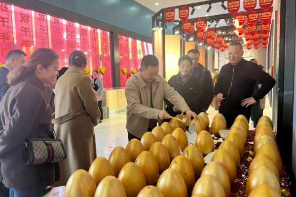 板材网