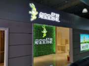 好消息，兔宝宝板材易装店成功进驻长春中东大市场