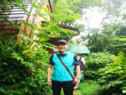 防腐木市场危机原因分析