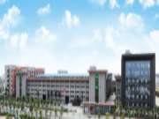 南兴：探索国际市场，未来无限可能