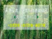 生态板做衣柜|上午装修，下午入住