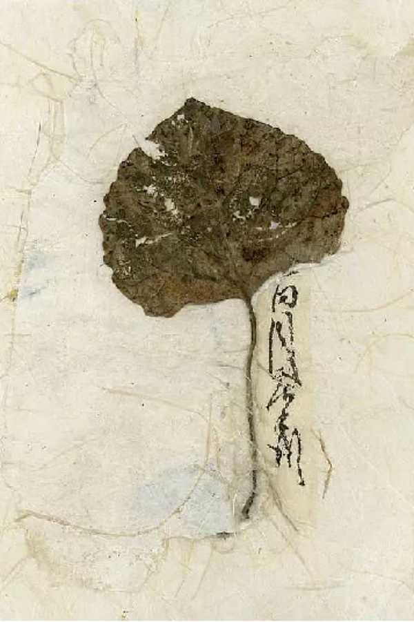 板材网