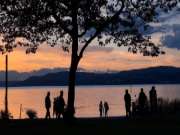 实木地板 罗密欧  |  夏日限定，心驰神往