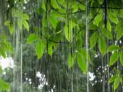 清明时节雨纷纷，木柜防潮「芯」技能！