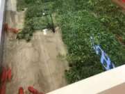 是的没错，我们地板不怕水！