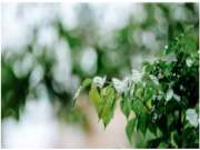 清明时节雨纷纷，板式家具防潮技能Get！