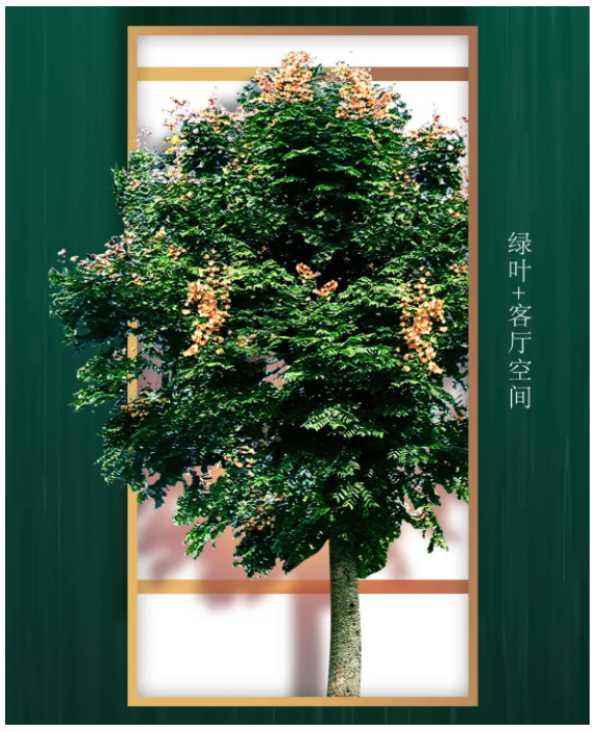 板材网