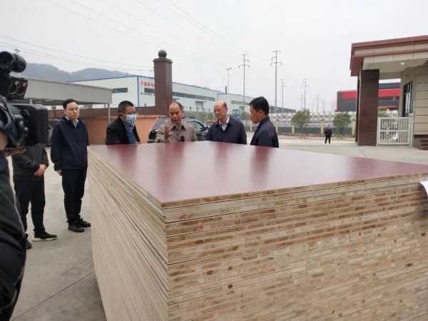 【关注】广东省农业农村厅副厅长黄斌民带领广东考察团莅临三友木业